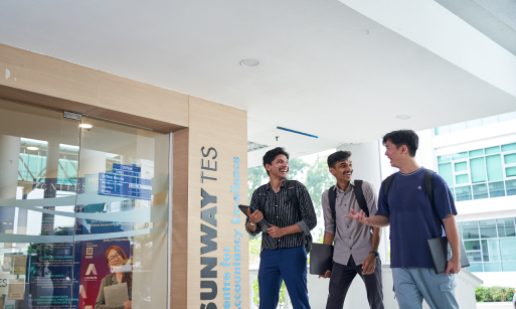 Professional Programmes